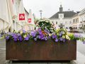 Foto Augenblick Stainz6